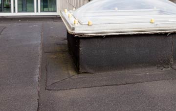 disadvantages of Clunes flat roofs