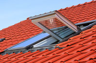 Clunes roof window